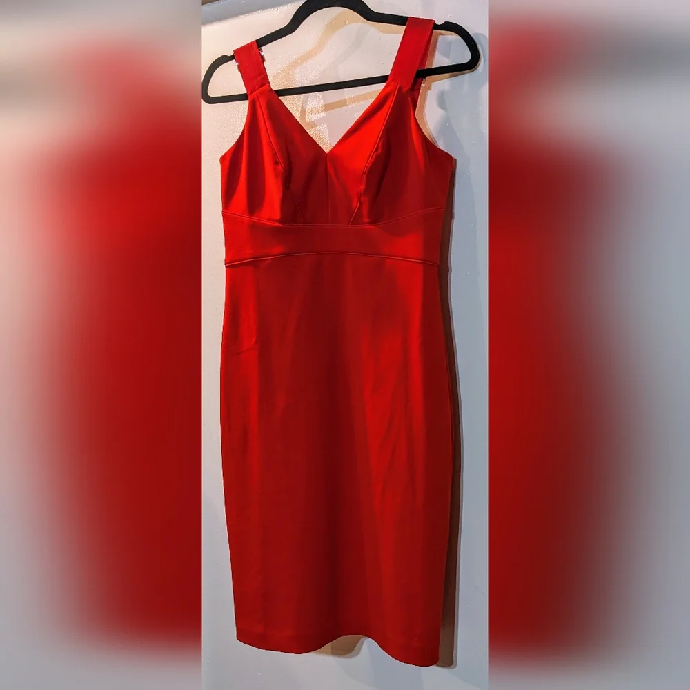 Ted Baker London Trixxie Panel Body-Con Dress Size 2 - RED - Worn Twice - Picture 2 of 5